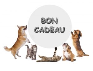 Logo bons cadeaux