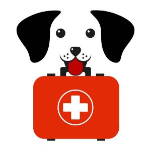 Logo trousse de 1er secours canins et félins